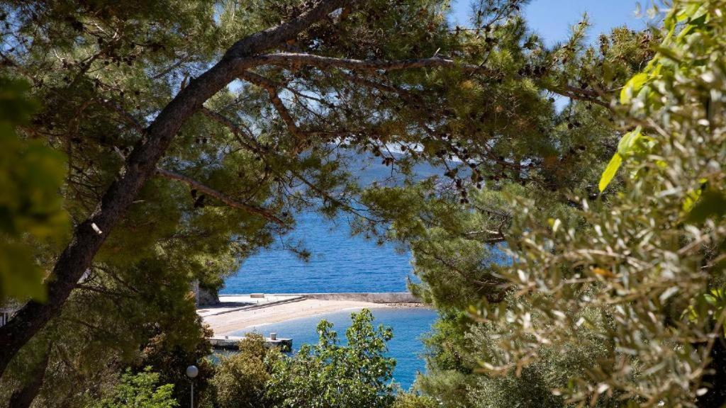 Rosmarin&Olive Premium Mobile Homes Selce Eksteriør bilde